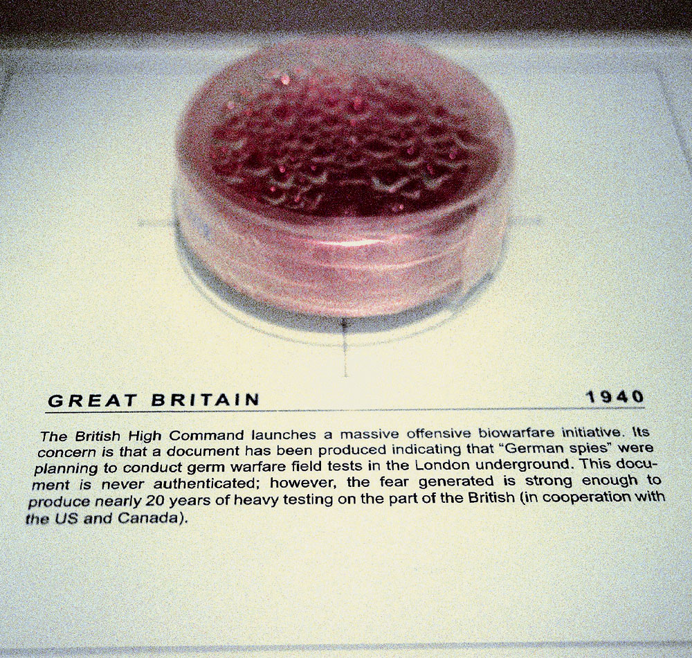 Das Critical Art Ensemble beschränkt sich nicht auf das Internet. Politik und Bio-Tech: Germs of Deception, 2005, Foto: Neue Gesellschaft für Bildende Kunst, Berlin
